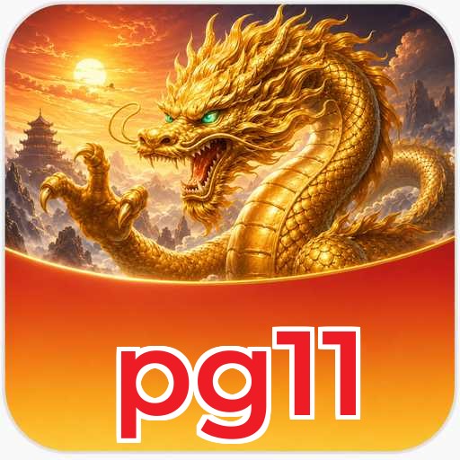pg11 Technical Info